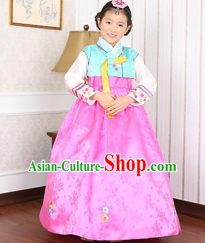 Asian Korean Traditional Handmade Formal Occasions Costume Baby Princess Embroidered Blue Blouse and Pink Dress Hanbok Clothing for Girls