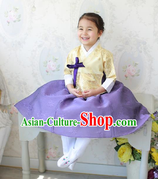 Asian Korean National Traditional Handmade Formal Occasions Costume, Palace Wedding Embroidered Purple Hanbok Clothing for Girls