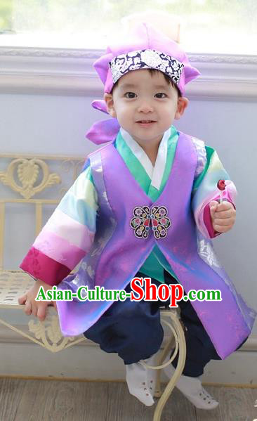 Asian Korean National Traditional Handmade Formal Occasions Costume, Palace Boys Brithday Embroidered Purple Hanbok Clothing for Kids