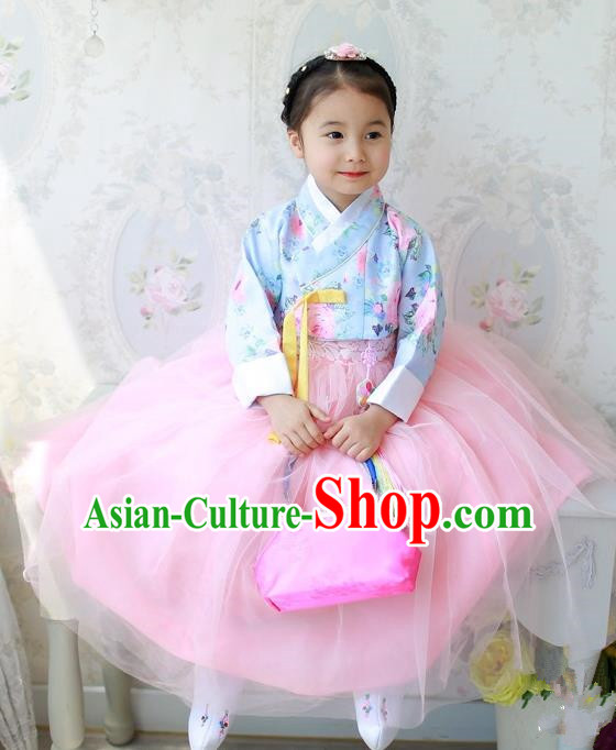 Traditional Korean Handmade Formal Occasions Costume Princess Blue Embroidered Blouse and Pink Dress Hanbok Clothing for Girls