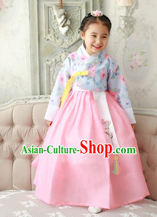 Asian Korean Traditional Handmade Formal Occasions Costume Princess Embroidered Blue Blouse and Pink Dress Hanbok Clothing for Girls