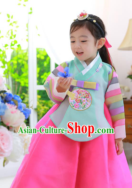 Asian Korean National Traditional Handmade Formal Occasions Girls Embroidered Green Blouse and Dress Costume Hanbok Clothing for Kids