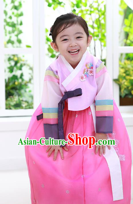 Asian Korean National Traditional Handmade Formal Occasions Girls Embroidered Pink Blouse and Dress Costume Hanbok Clothing for Kids