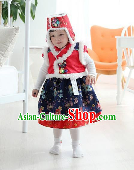 Asian Korean National Traditional Handmade Formal Occasions Girls Embroidery Hanbok Costume Red Vest and Blue Dress Complete Set for Kids