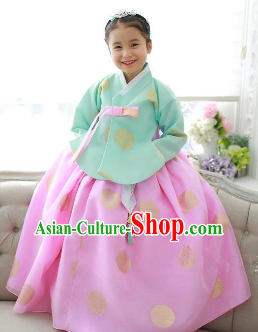 Traditional Korean National Handmade Formal Occasions Girls Hanbok Costume Embroidery Green Blouse and Pink Dress for Kids