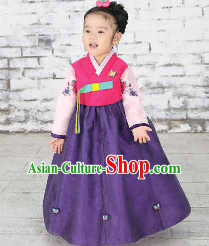 Traditional Korean National Handmade Formal Occasions Girls Hanbok Costume Embroidered Red Blouse and Purple Dress for Kids