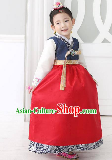 Traditional Korean National Handmade Formal Occasions Girls Palace Hanbok Costume Embroidered Navy Blouse and Red Dress for Kids