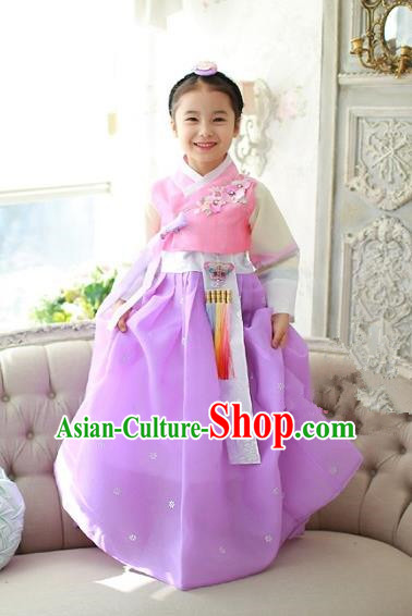 Korean National Handmade Formal Occasions Girls Embroidery Hanbok Costume Pink Blouse and Purple Dress Complete Set for Kids