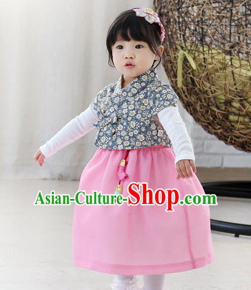 Traditional Korean National Handmade Formal Occasions Girls Embroidery Hanbok Costume Blue Blouse and Purple Dress Complete Set for Kids