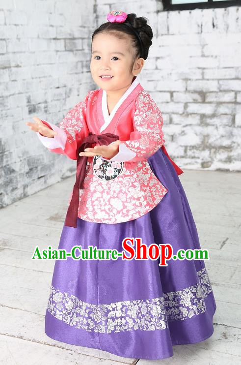 Traditional Korean National Handmade Formal Occasions Girls Palace Hanbok Costume Embroidered Red Blouse and Purple Dress for Kids