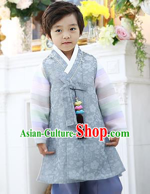 Asian Korean National Traditional Handmade Formal Occasions Boys Embroidery Grey Hanbok Costume Complete Set for Kids