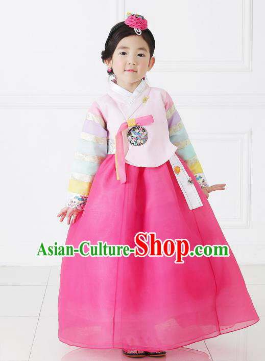 Asian Korean National Handmade Formal Occasions Embroidered Pink Blouse and Dress Hanbok Costume for Kids