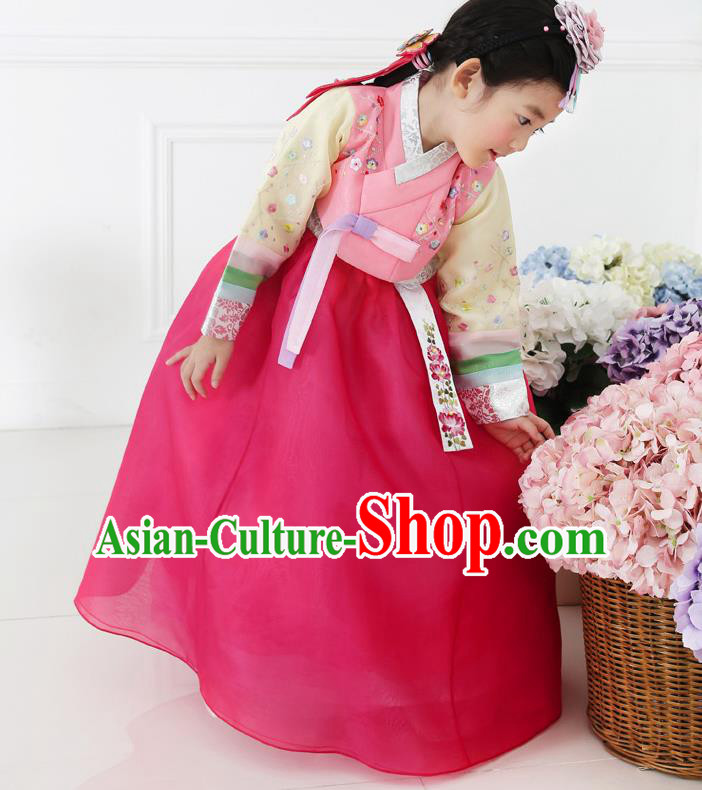 Asian Korean National Handmade Formal Occasions Embroidered Pink Blouse and Dress Hanbok Costume for Kids