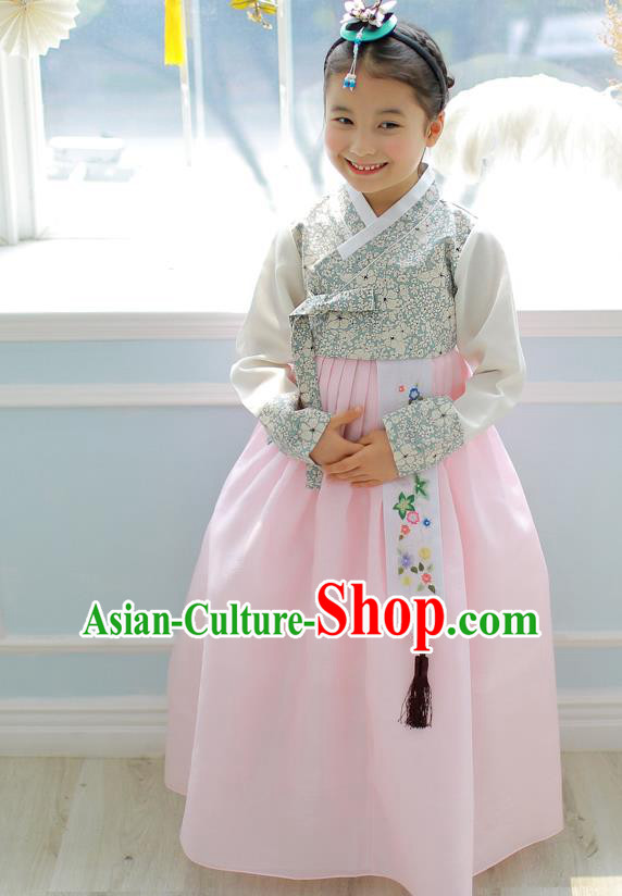 Asian Korean National Handmade Formal Occasions Embroidery Blouse and Pink Dress Hanbok Costume for Kids