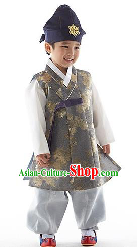 Asian Korean National Traditional Handmade Formal Occasions Boys Embroidery Grey Vest Hanbok Costume Complete Set for Kids