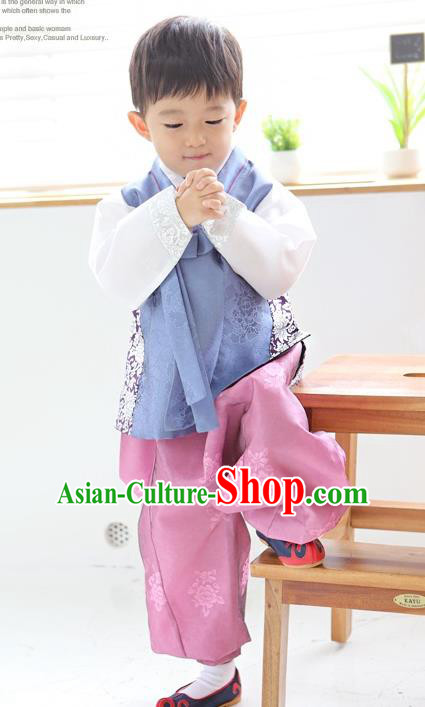 Asian Korean National Traditional Handmade Formal Occasions Boys Embroidery Light Blue Vest Hanbok Costume Complete Set for Kids