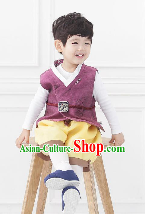 Asian Korean National Traditional Handmade Formal Occasions Boys Embroidery Wine Red Vest Hanbok Costume Complete Set for Kids