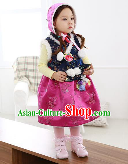 Asian Korean National Handmade Formal Occasions Wedding Bride Clothing Navy Vest and Rosy Dress Palace Hanbok Costume for Kids