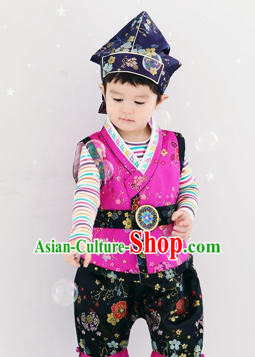 Asian Korean National Traditional Handmade Formal Occasions Boys Embroidery Rosy Vest Hanbok Costume Complete Set for Kids