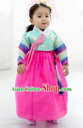 Asian Korean National Handmade Formal Occasions Clothing Embroidered Blue Blouse and Rosy Dress Palace Hanbok Costume for Kids