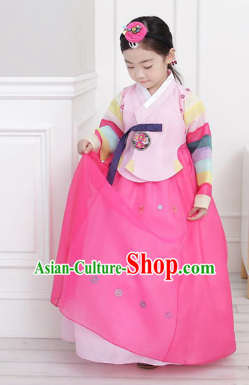 Asian Korean National Handmade Formal Occasions Wedding Girls Clothing Embroidered Pink Blouse and Dress Palace Hanbok Costume for Kids