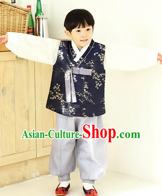 Asian Korean National Traditional Handmade Formal Occasions Boys Embroidery Navy Vest Hanbok Costume Complete Set for Kids