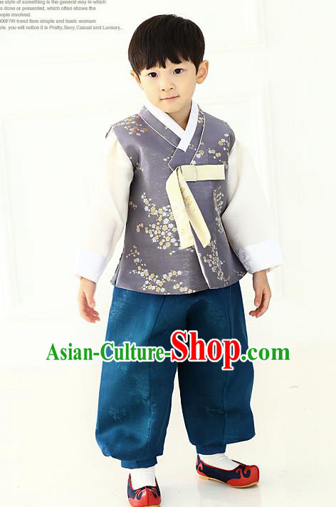 Asian Korean National Traditional Handmade Formal Occasions Boys Embroidery Grey Vest Hanbok Costume Complete Set for Kids