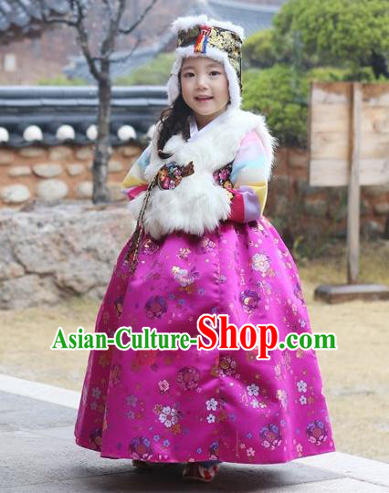 Asian Korean National Handmade Formal Occasions Wedding Girls Clothing White Vest and Rosy Dress Palace Hanbok Costume for Kids