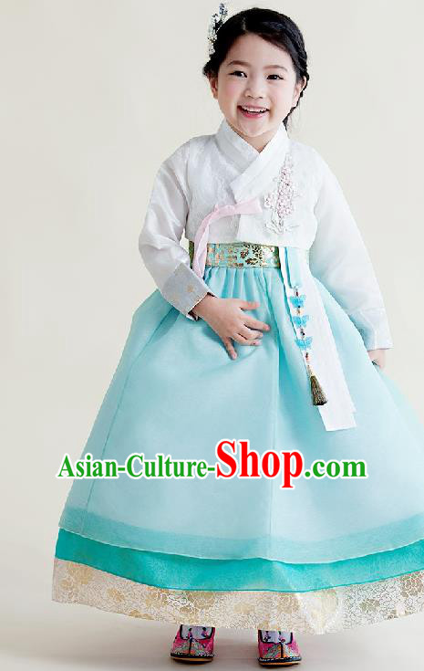 Asian Korean National Handmade Formal Occasions Wedding Girls Clothing Embroidered White Blouse and Blue Dress Palace Hanbok Costume for Kids