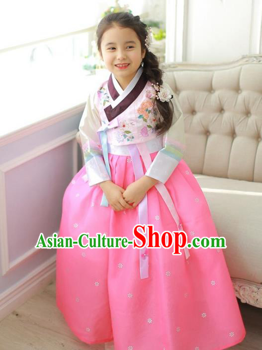 Asian Korean National Handmade Formal Occasions Wedding Girls Clothing Embroidered Pink Blouse and Dress Palace Hanbok Costume for Kids