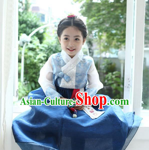 Asian Korean National Handmade Formal Occasions Wedding Girls Clothing Palace Hanbok Costume Embroidered Blue Blouse and Dress for Kids