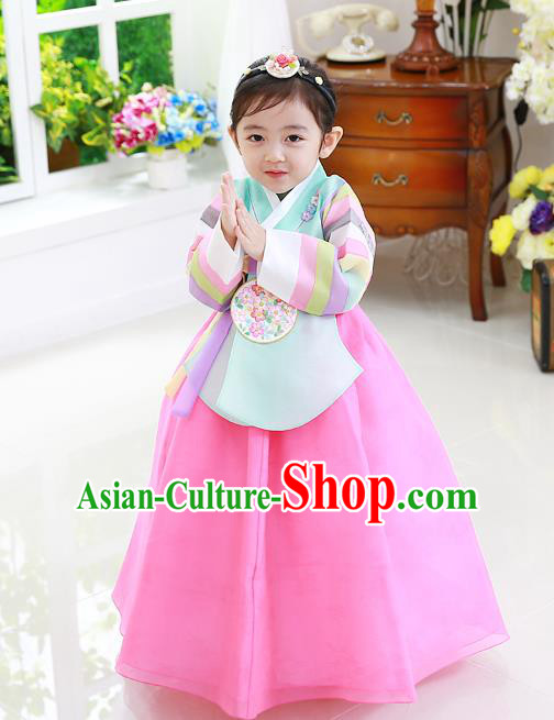 Korean National Handmade Formal Occasions Girls Clothing Palace Hanbok Costume Embroidered Green Blouse and Pink Dress for Kids