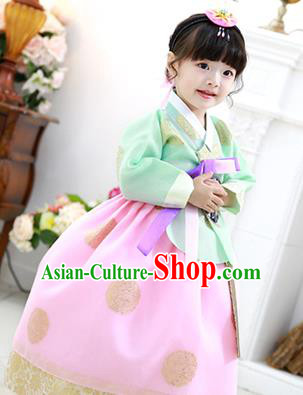 Korean National Handmade Formal Occasions Girls Clothing Palace Hanbok Costume Embroidered Green Blouse and Pink Dress for Kids