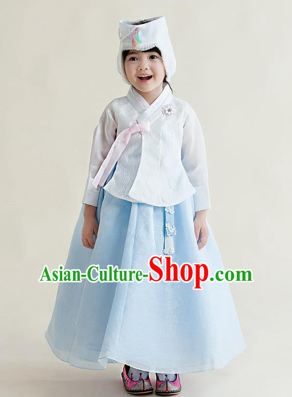 Korean National Handmade Formal Occasions Girls Clothing Palace Hanbok Costume Embroidered White Blouse and Blue Dress for Kids