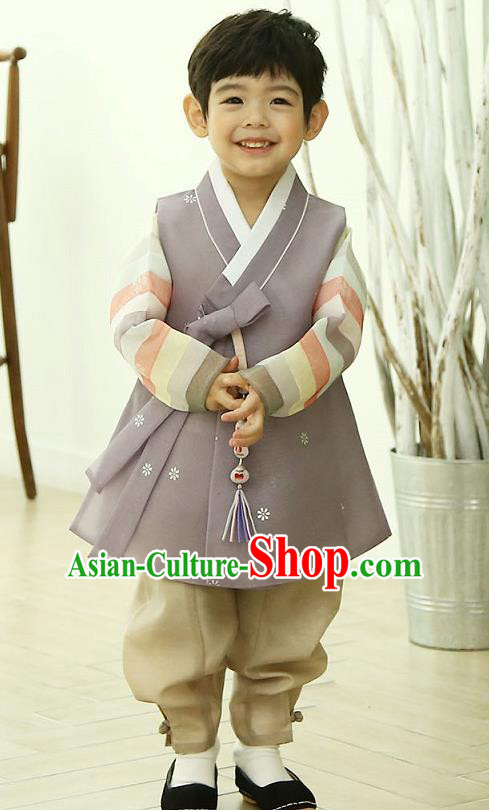 Asian Korean National Traditional Handmade Formal Occasions Boys Embroidery Grey Vest Hanbok Costume Complete Set for Kids