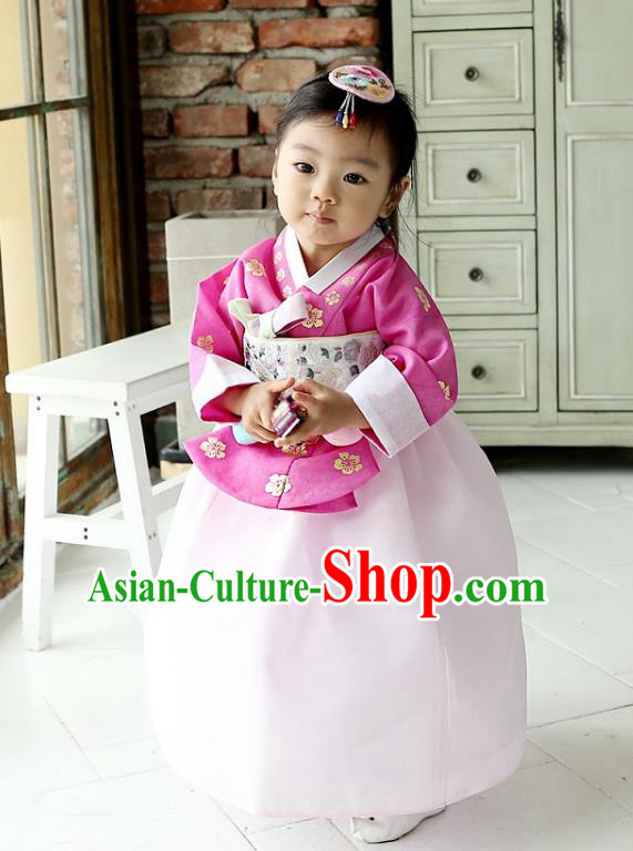 Korean National Handmade Formal Occasions Girls Clothing Palace Hanbok Costume Embroidered Rosy Blouse and Pink Dress for Kids