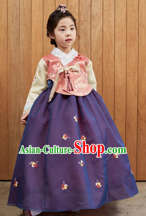 Korean National Handmade Formal Occasions Girls Clothing Palace Hanbok Costume Embroidered Pink Blouse and Purple Dress for Kids