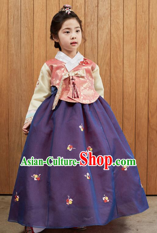 Korean National Handmade Formal Occasions Girls Clothing Palace Hanbok Costume Embroidered Pink Blouse and Purple Dress for Kids