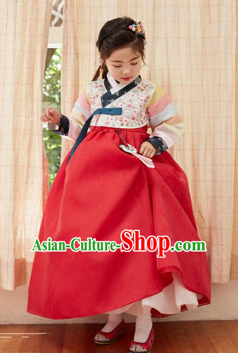 Traditional Korean National Handmade Formal Occasions Girls Clothing Palace Hanbok Costume Embroidered White Blouse and Red Dress for Kids