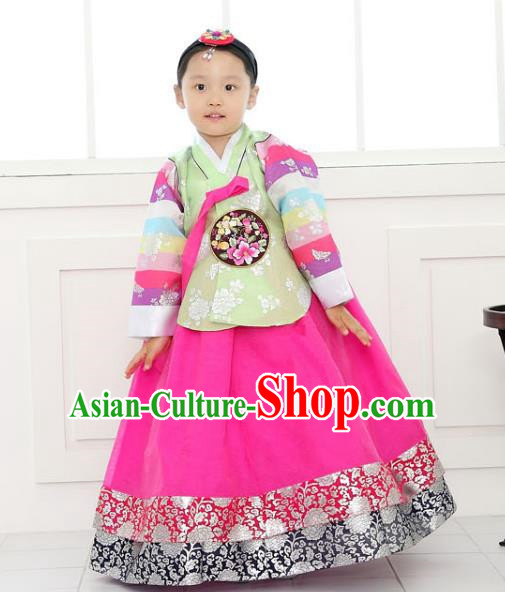 Traditional Korean National Handmade Formal Occasions Girls Clothing Palace Hanbok Costume Embroidered Green Blouse and Rosy Dress for Kids