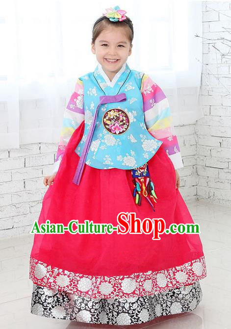 Traditional Korean National Handmade Formal Occasions Girls Clothing Palace Hanbok Costume Embroidered Blue Blouse and Red Dress for Kids