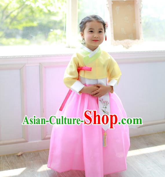 Traditional Korean National Handmade Formal Occasions Girls Clothing Palace Hanbok Costume Embroidered Yellow Blouse and Pink Dress for Kids