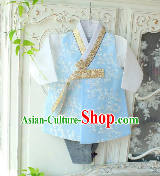 Asian Korean National Traditional Handmade Formal Occasions Boys Embroidery Blue Vest Hanbok Costume Complete Set for Kids