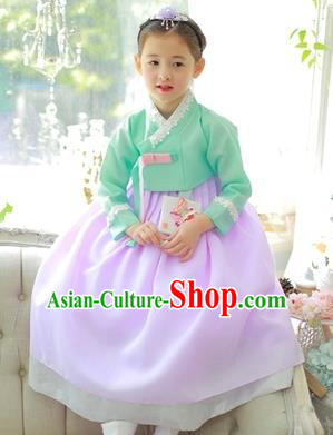 Traditional Korean National Handmade Formal Occasions Girls Clothing Palace Hanbok Costume Embroidered Green Blouse and Purple Dress for Kids