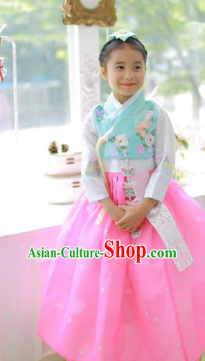 Traditional Korean Handmade Hanbok Embroidered Clothing, Asian Korean Fashion Apparel Hanbok Embroidery Costume for Kids