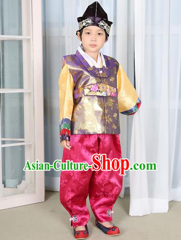 Traditional Korean National Handmade Court Embroidered Purple Costume, Asian Korean Boys Hanbok Clothing for Kids