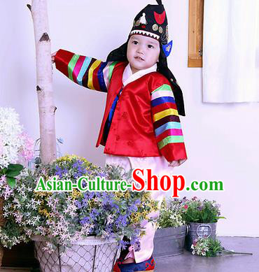 Traditional Korean Handmade Formal Occasions Embroidered Palace Prince Hanbok Red Clothing for Kids