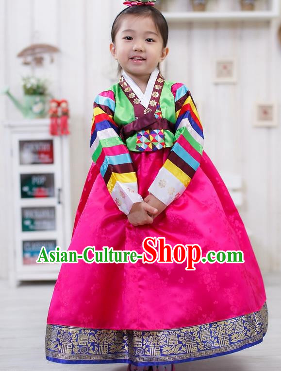 Traditional Korean Handmade Formal Occasions Embroidered Girls Wedding Pink Costume, Asian Korean Apparel Palace Hanbok Dress Clothing for Kids