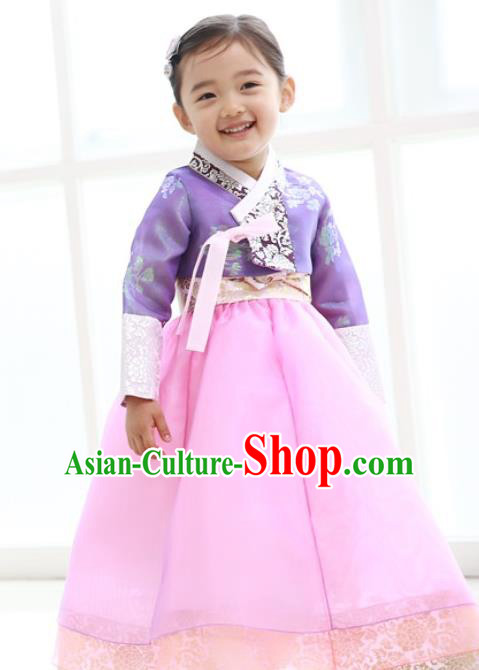 Traditional Korean Handmade Formal Occasions Embroidered Baby Princess Hanbok Pink Dress Clothing for Girls