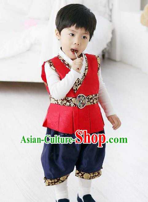 Traditional Korean Handmade Formal Occasions Costume Vest and Pants, Asian Korean Apparel Hanbok Clothing for Boys